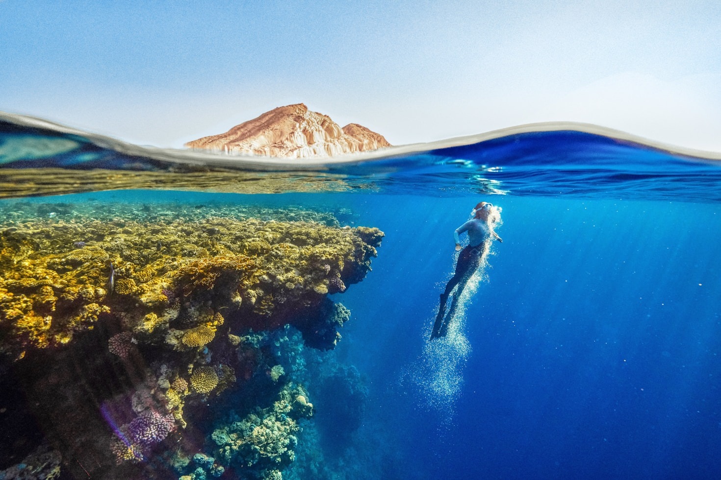 How Indigenous Knowledge Enhances Ecosystem Preservation