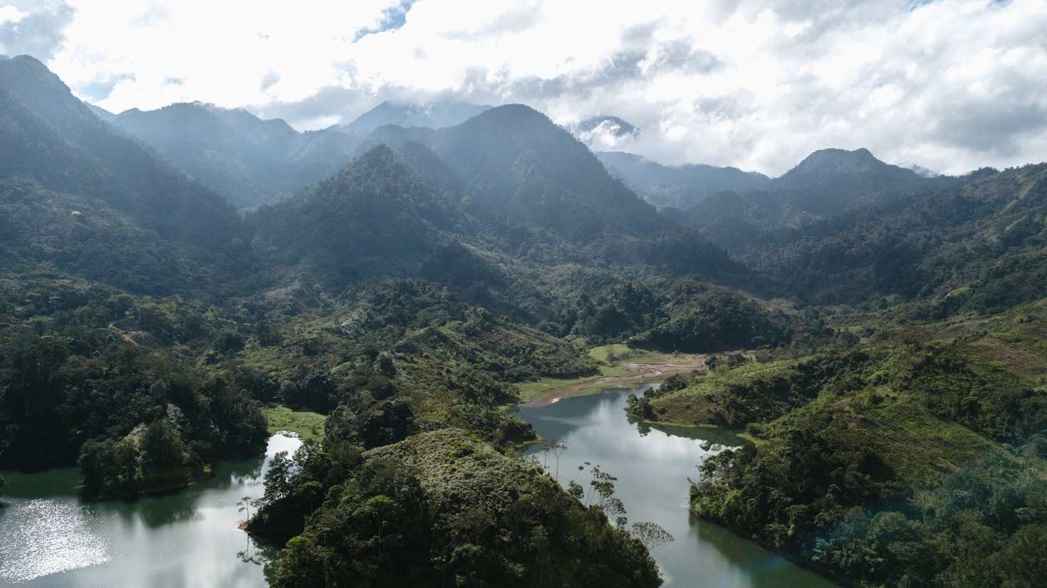 The Role of Scientific Discoveries in Protecting Species