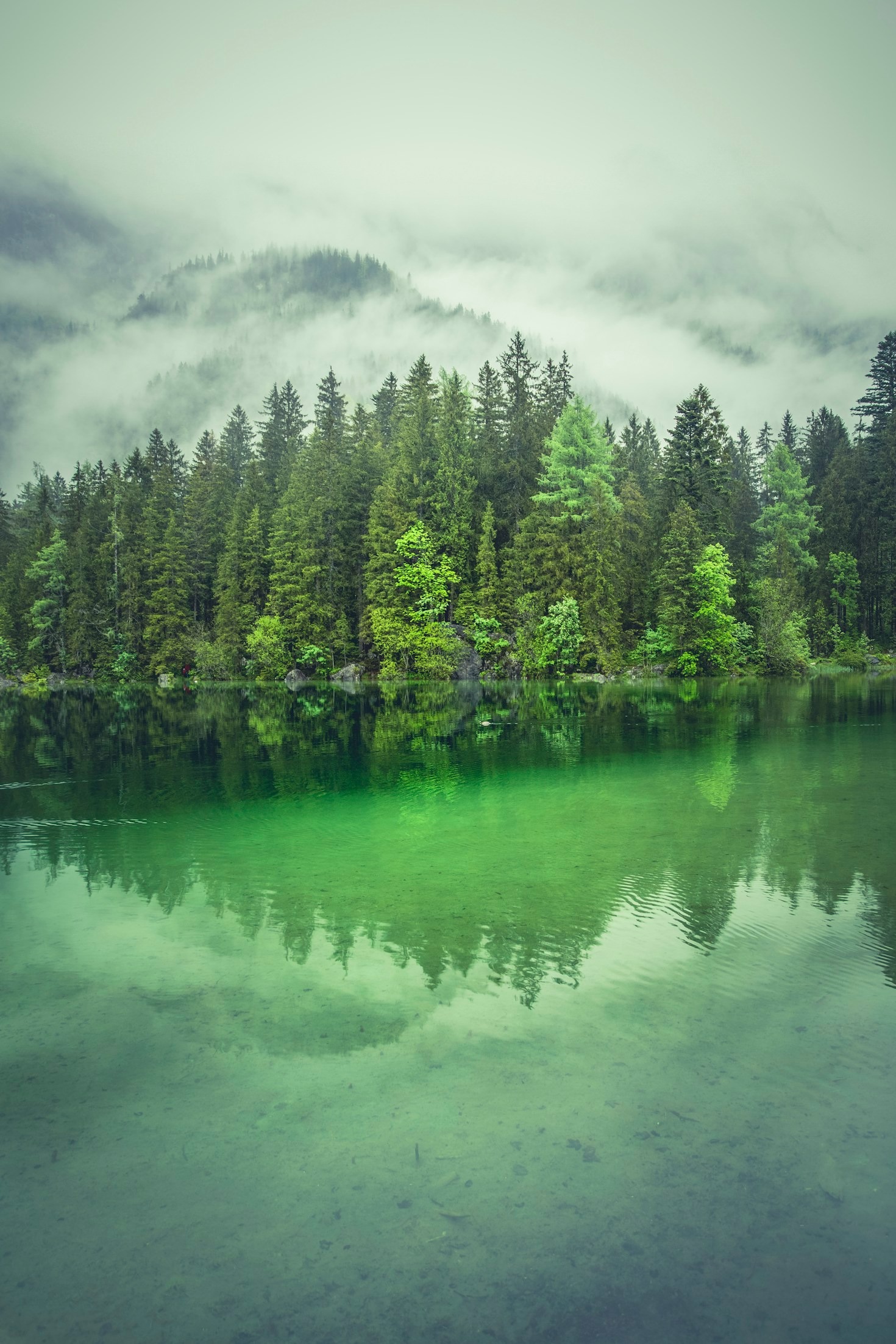 Empowering Communities to Safeguard Earth’s Biodiversity